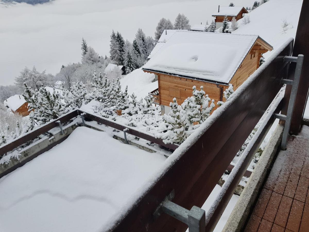 Les Collons1800- Bel appart 2pièces-4 pers-piscine-sauna-parking int-Wifi gratuit Vex Extérieur photo